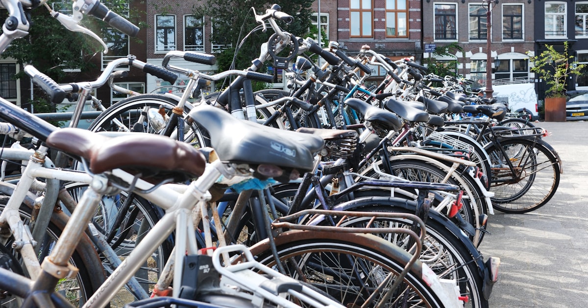 Renting in the Netherlands as an Expat: Your 2026 Survival Guide